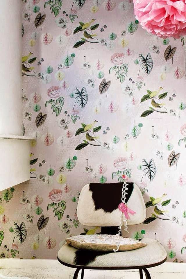 Wallpaper - HD Wallpaper 