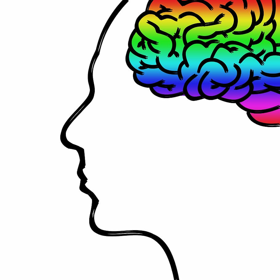 Illustration Of Person With Multicolored Brain, Head, - Imágenes Relacionadas Con La Psicología - HD Wallpaper 