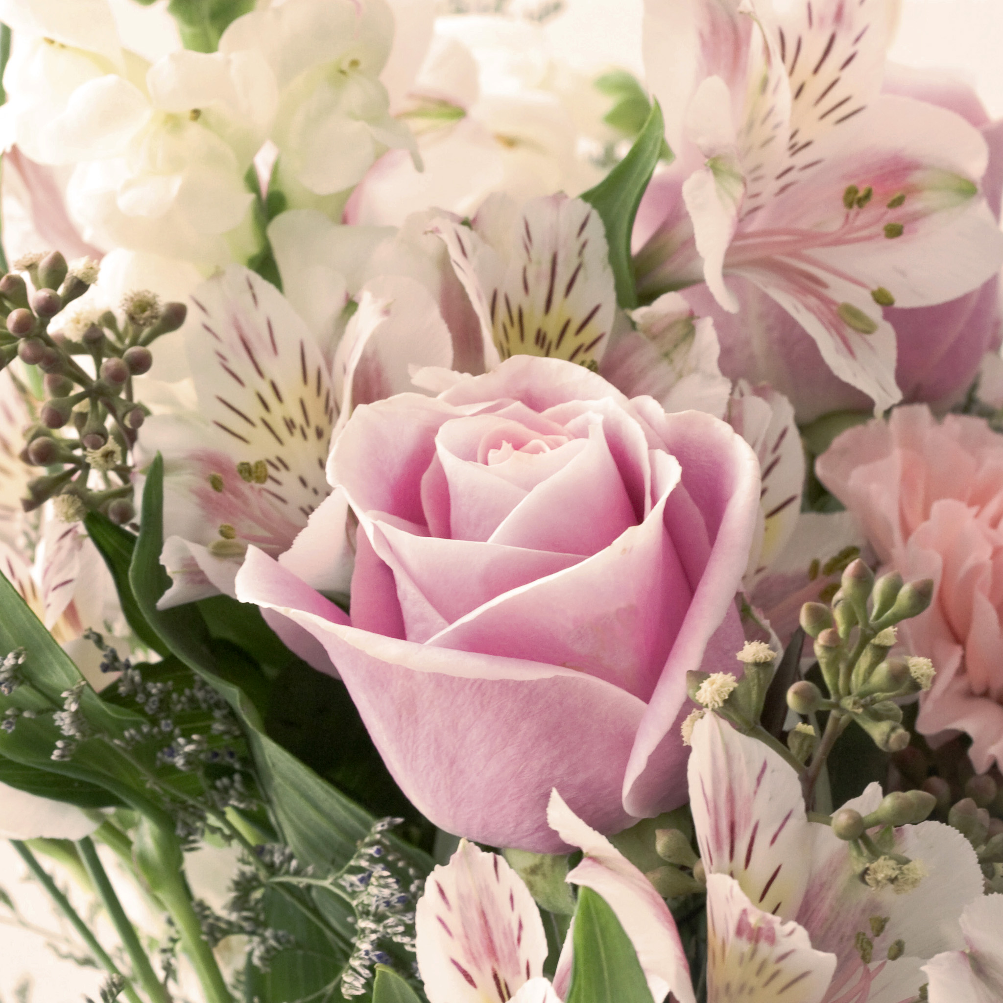 Pastel Hd Wallpaper For Ipad - 2048x2048 Wallpaper Pastel Hd Wallpaper For Ipad - 2048x2048 Wallpaper