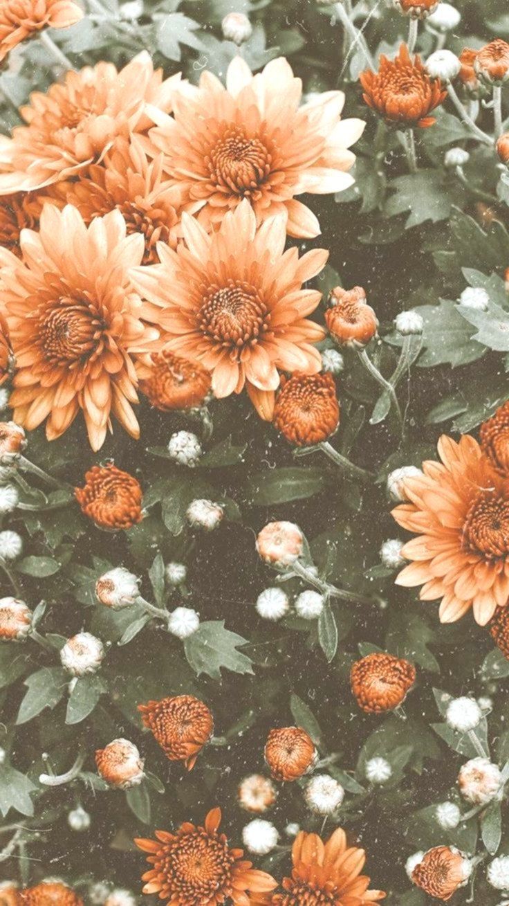 Floral Design - HD Wallpaper 