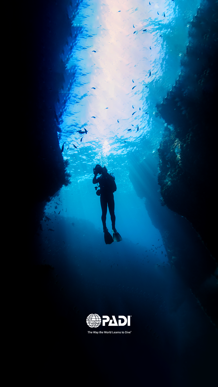 Scuba Diving Wallpaper - Scuba Diving Wallpaper Iphone - 750x1334 Wallpaper Scuba Diving Wallpaper - Scuba Diving Wallpaper Iphone - 750x1334 Wallpaper