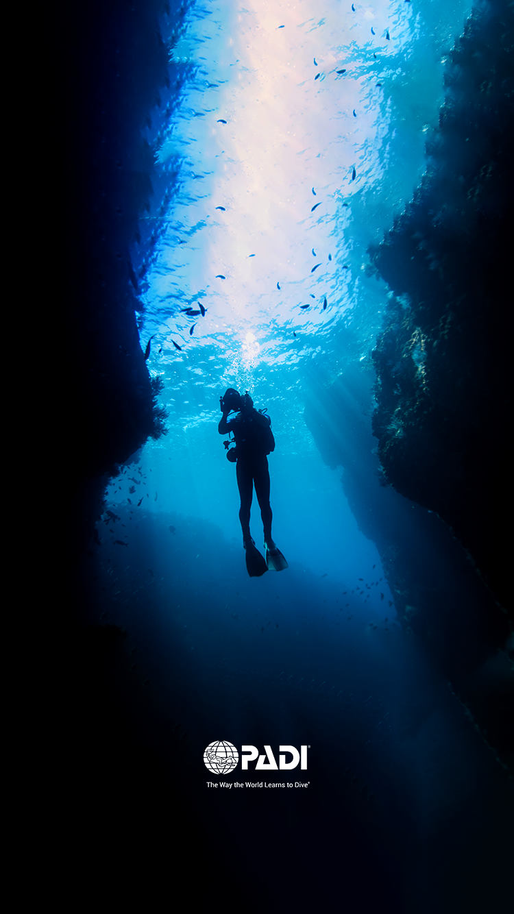 Scuba Diving Wallpaper - Scuba Diving Wallpaper Iphone - HD Wallpaper 