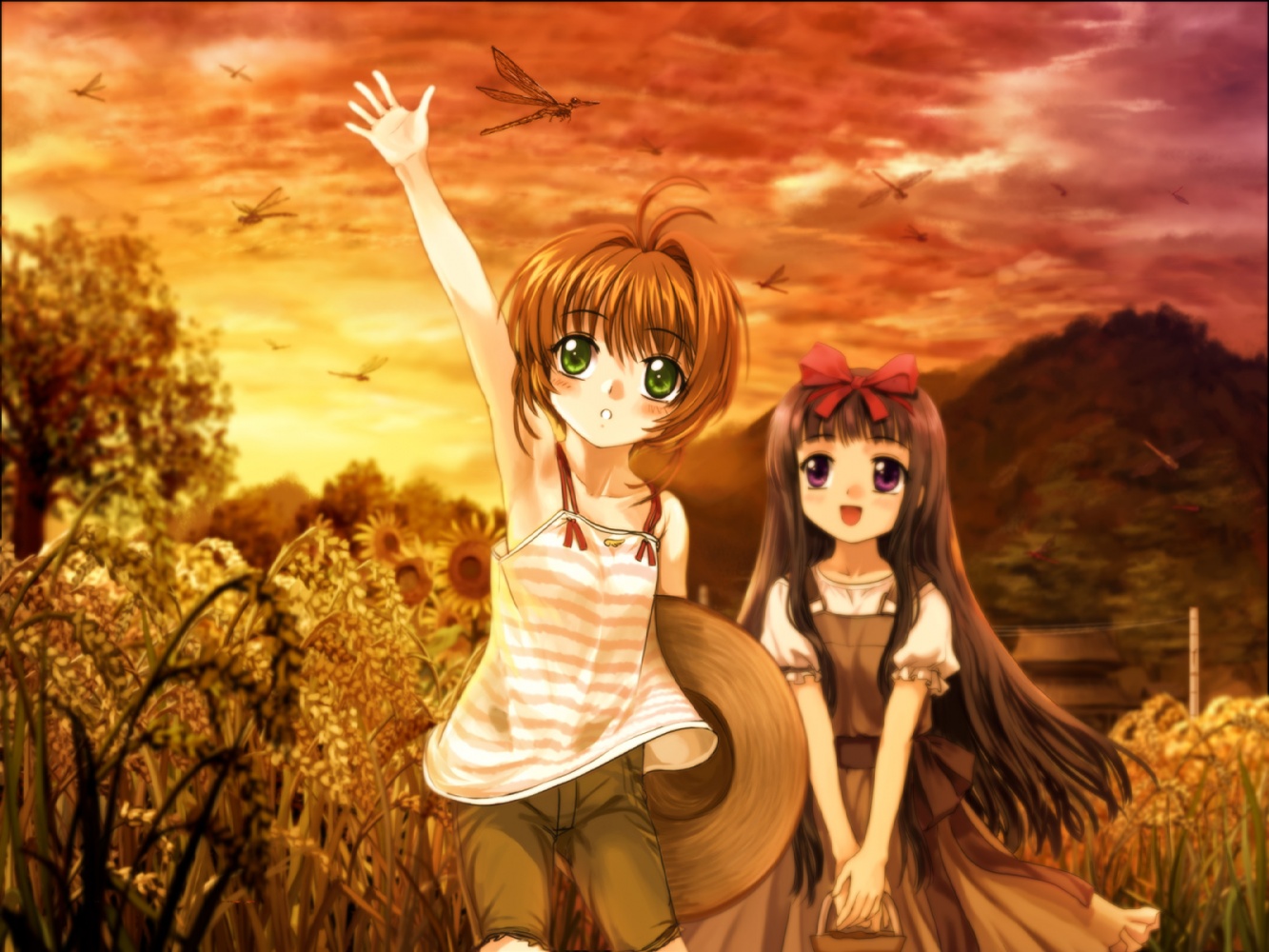 Card Captor Sakura Daidouji Tomoyo Kinomoto Sakura - Sakura Y Tomoyo Bff - HD Wallpaper 