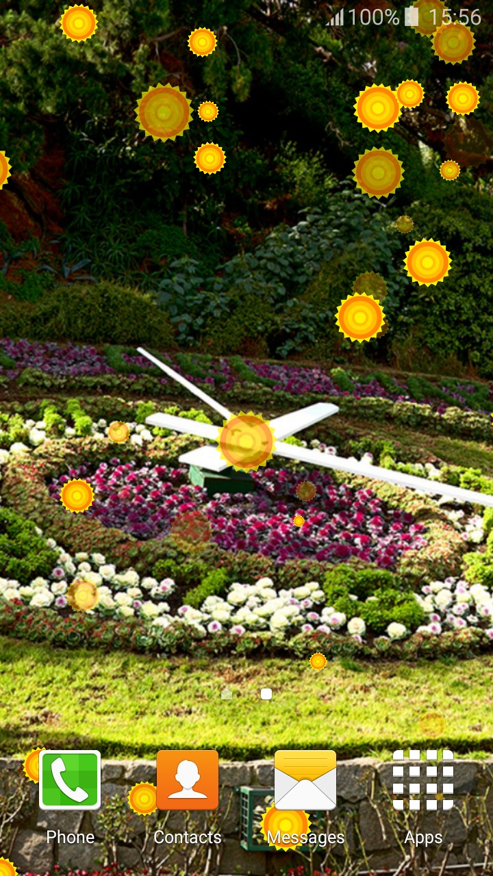 Flower Clock Live Wallpapers Marguerite Daisy 720x1280 Wallpaper teahub.io