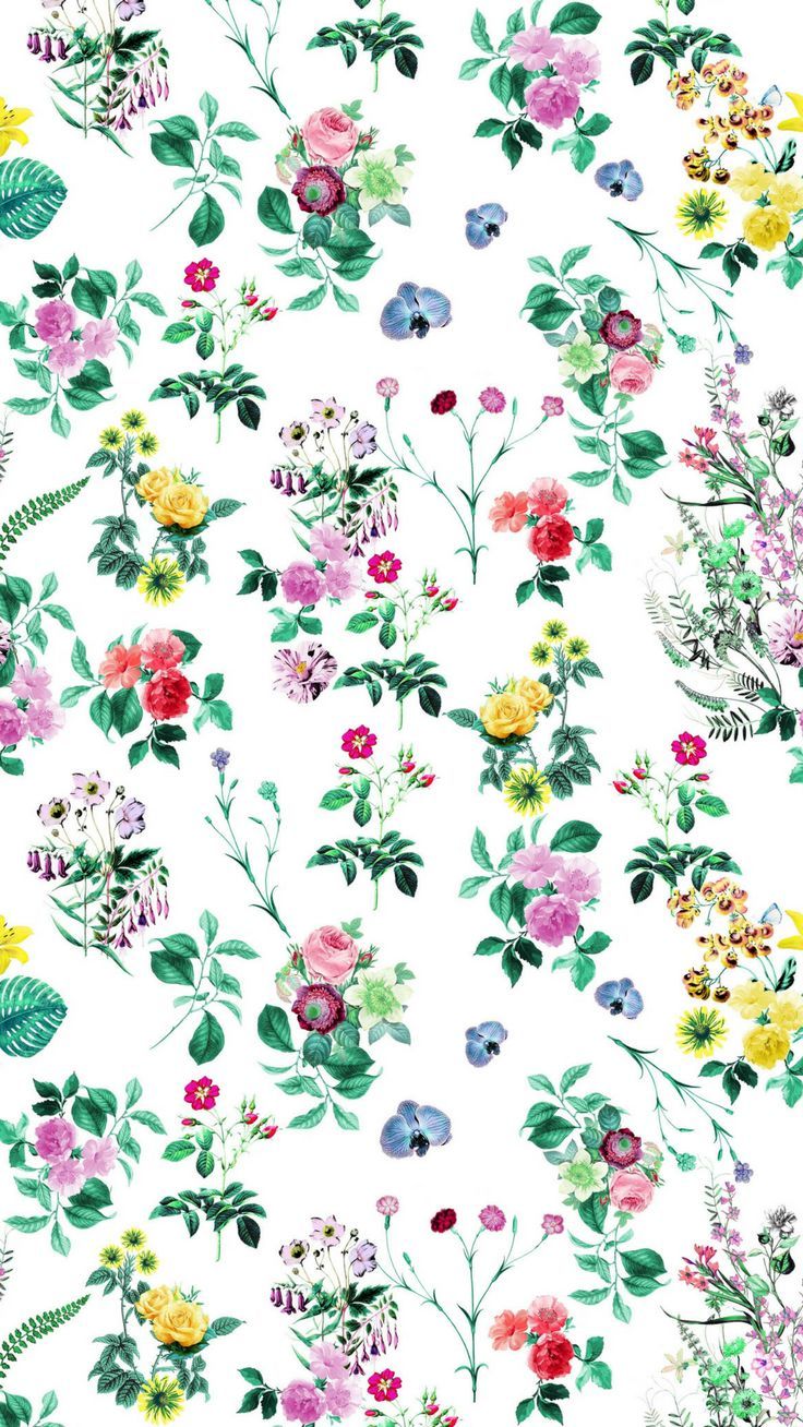 Flower Iphone 8 Backgrounds - HD Wallpaper 