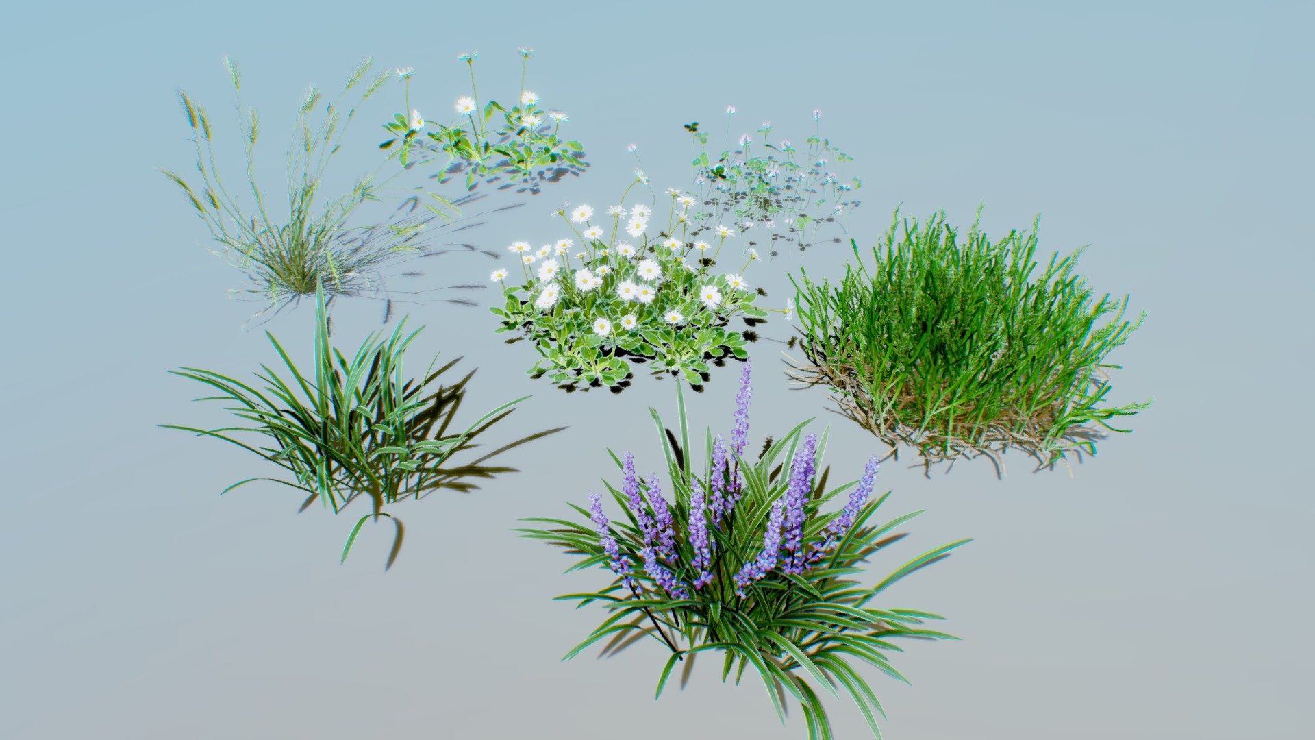 Grass - HD Wallpaper 