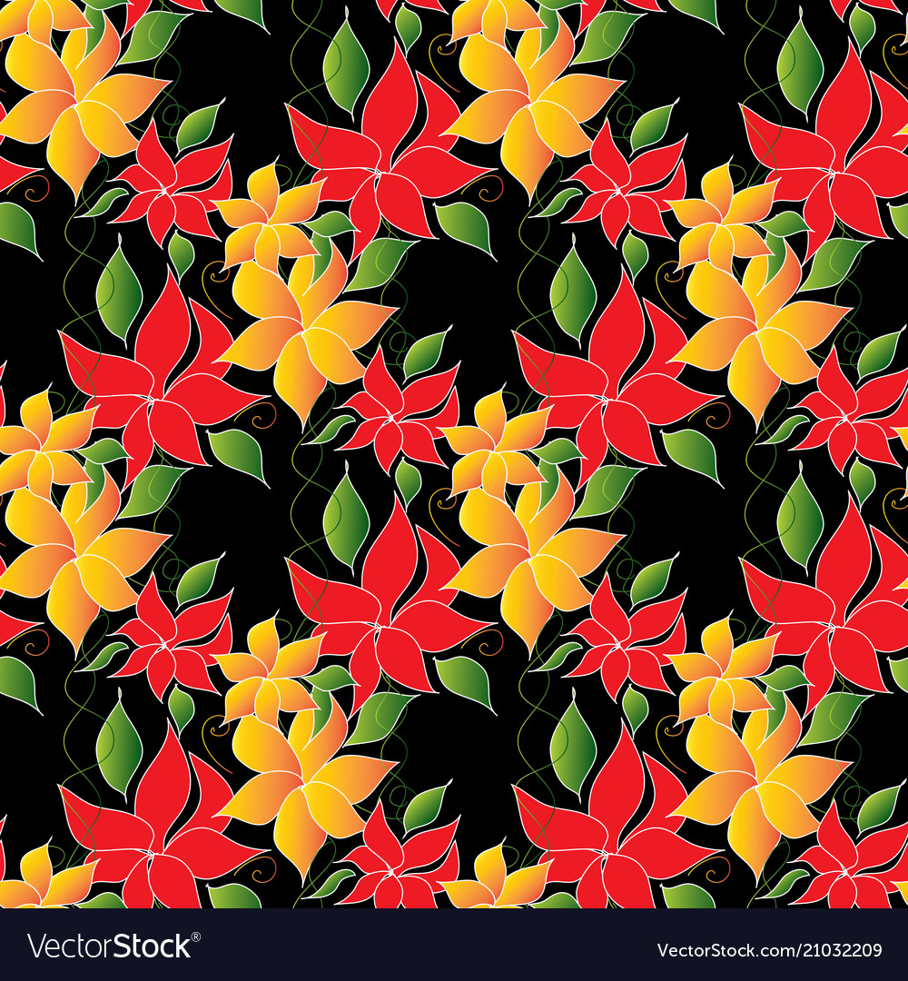 Impatiens - HD Wallpaper 