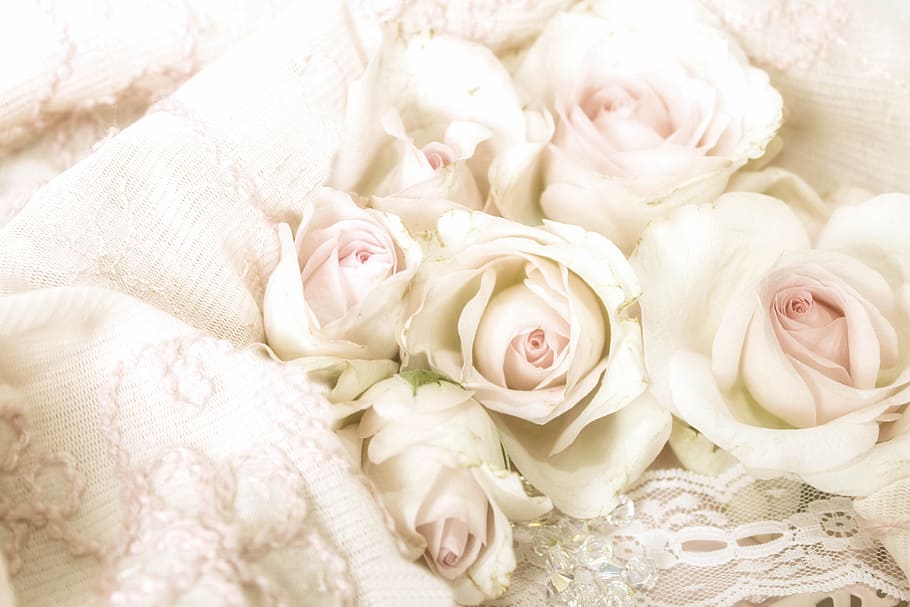 Photo Of White Roses On White Textile, Stack, Pastel, - Shabby Chic Rose Pink Background - HD Wallpaper 
