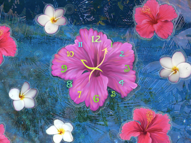 Chinese Hibiscus - HD Wallpaper 