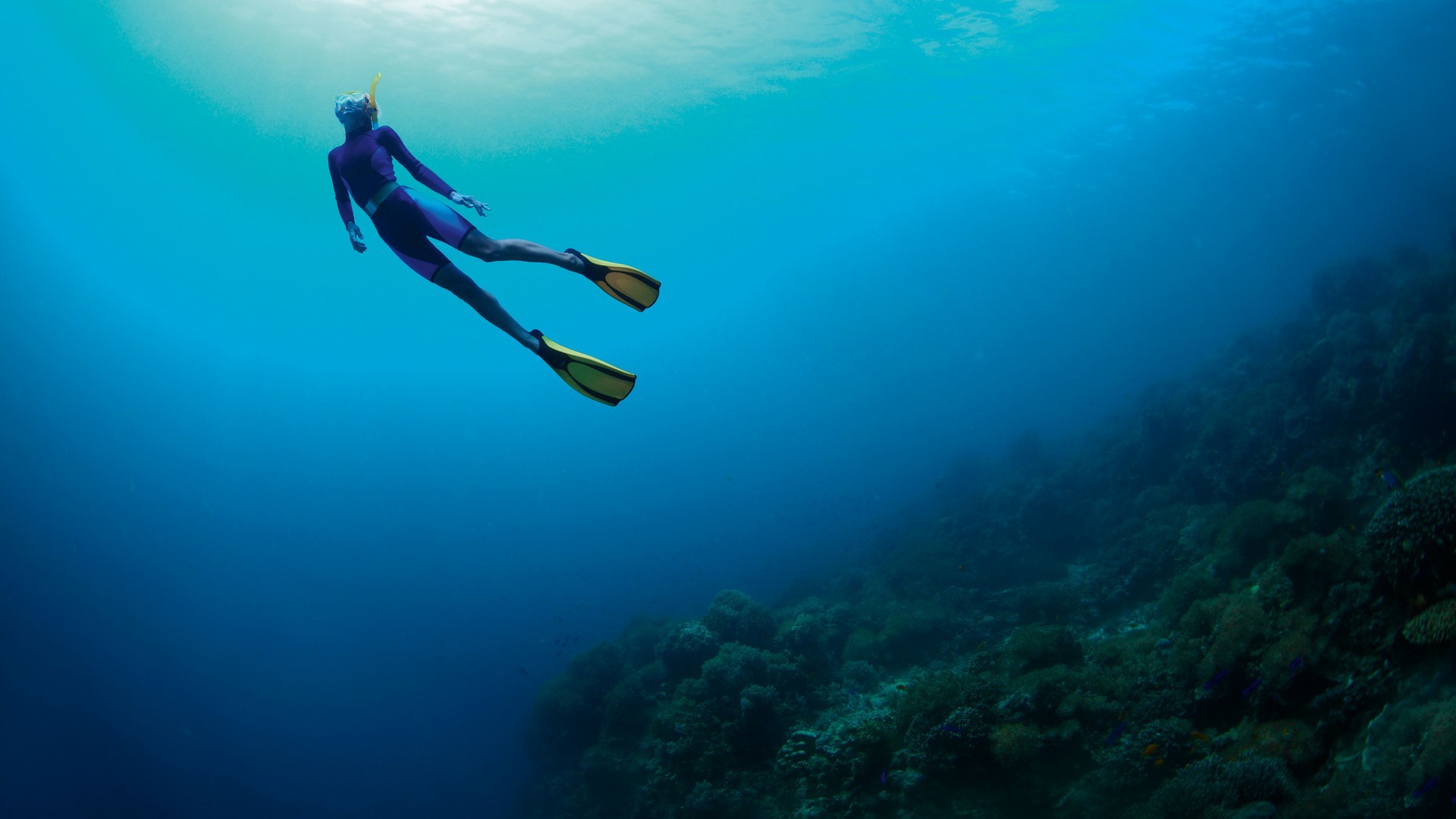 Free Diving 
 Data Src Top Freediving Wallpaper For - Underwater - HD Wallpaper 