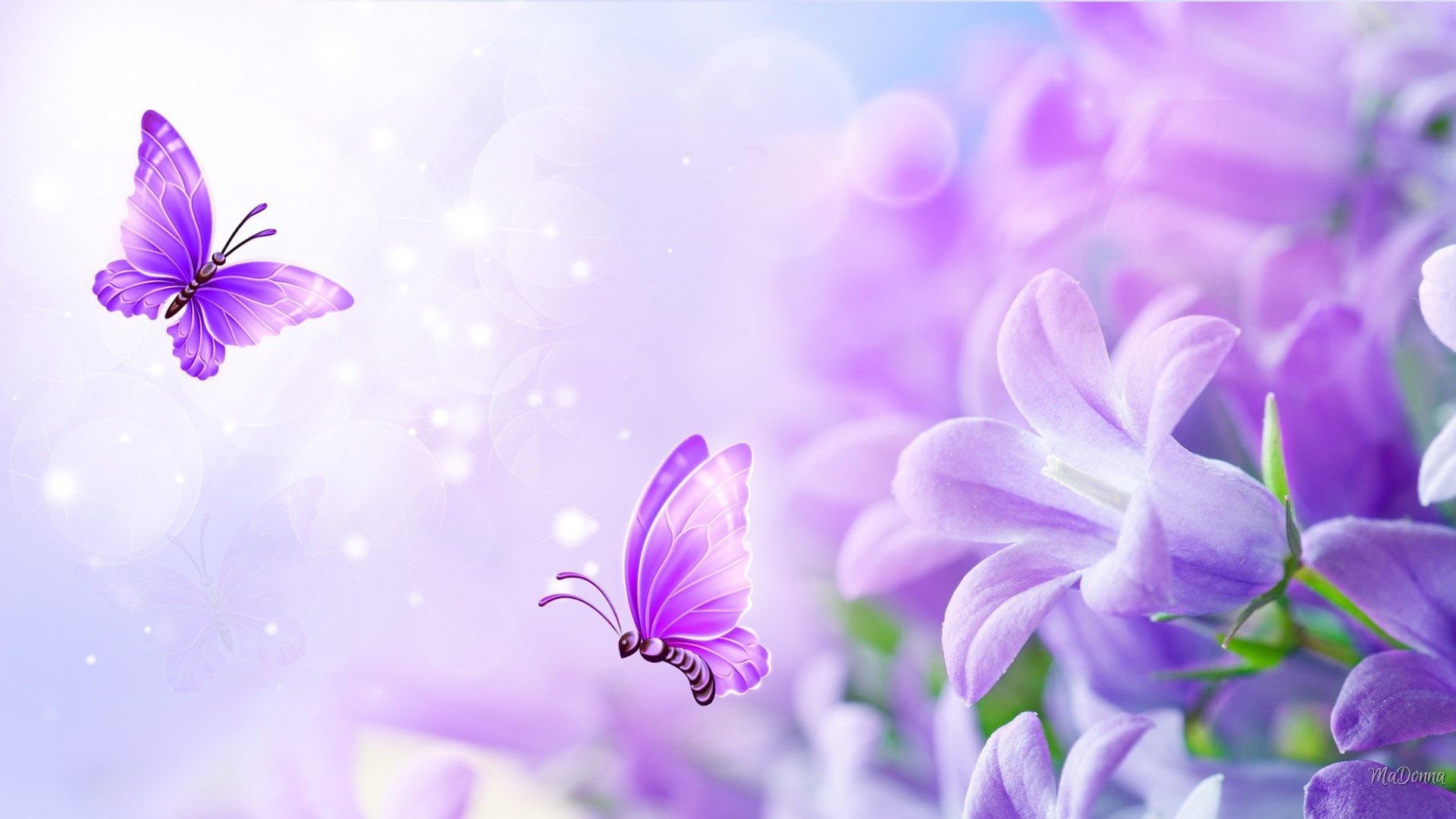 1920x1080, Bliss Soft Butterflies Pastel Summer Flowers - Purple Butterfly Pastel Purple Rose - HD Wallpaper 