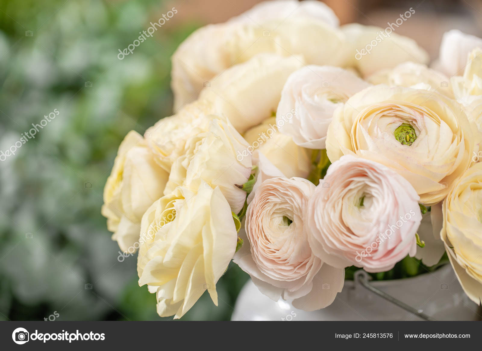 Floribunda - HD Wallpaper 