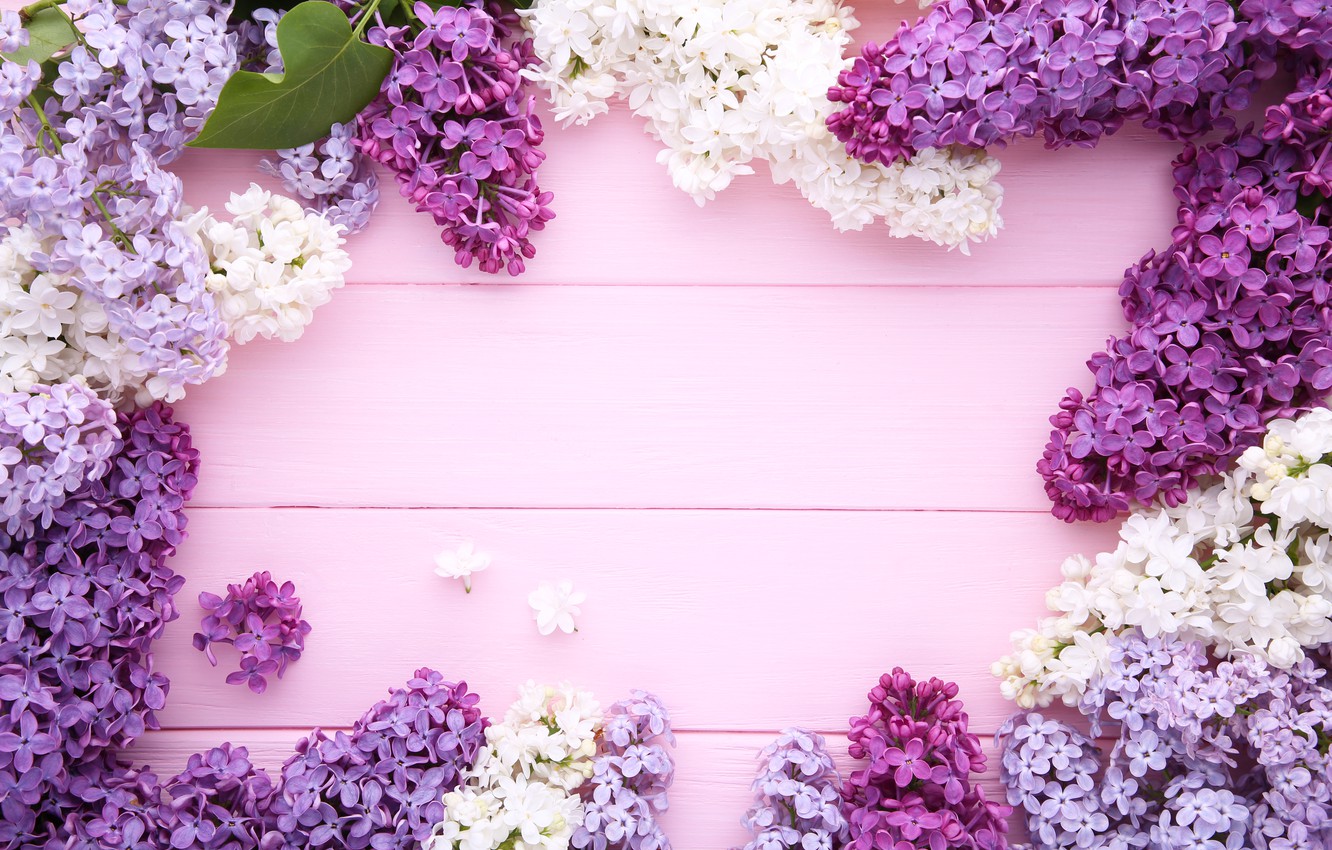 Photo Wallpaper Flowers, Background, Wood, Flowers, - Lilac Background - HD Wallpaper 