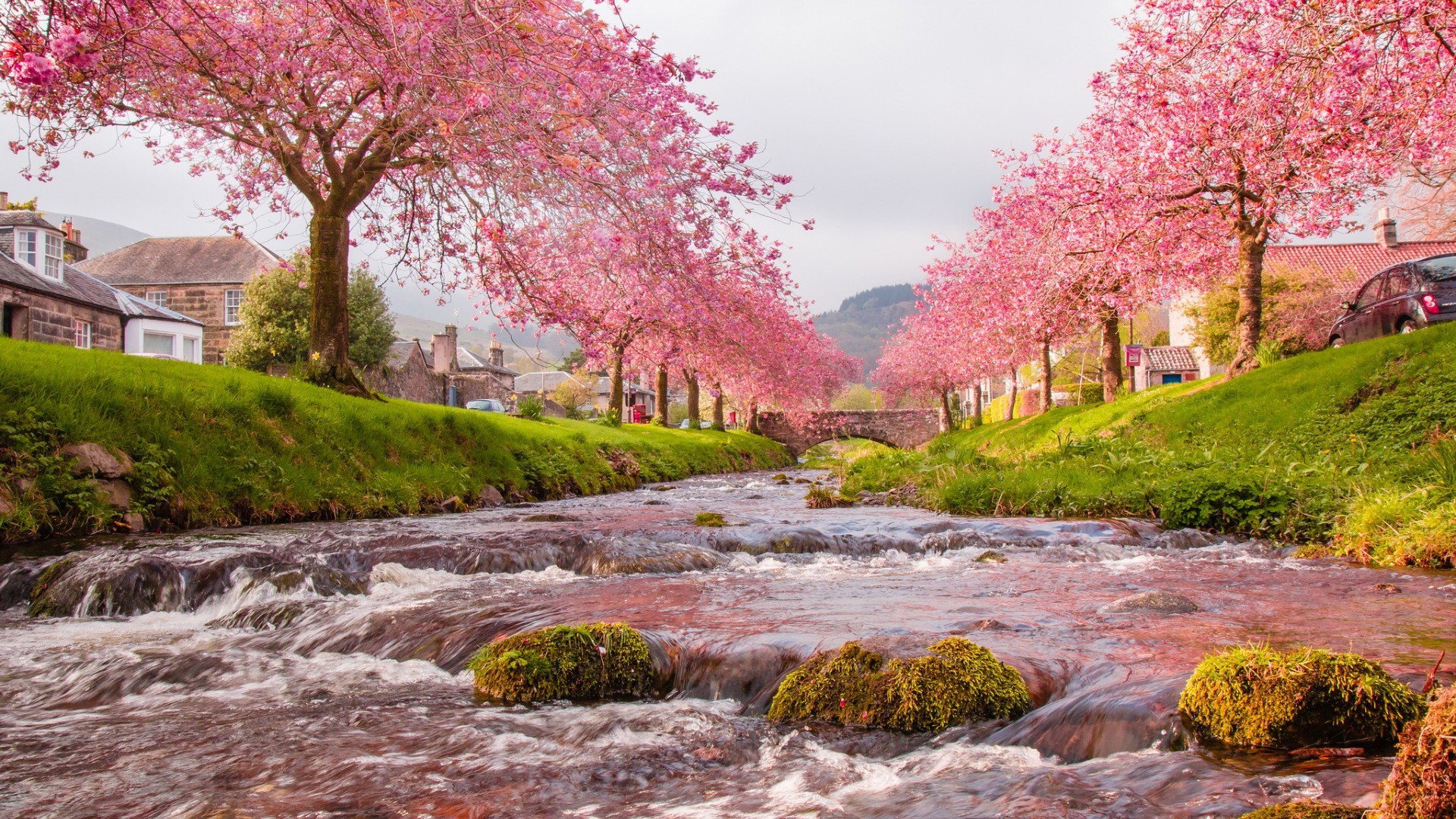 Time Bridge House Sky Trees Spring River Flowers Live - Spring River With Flowers - HD Wallpaper 