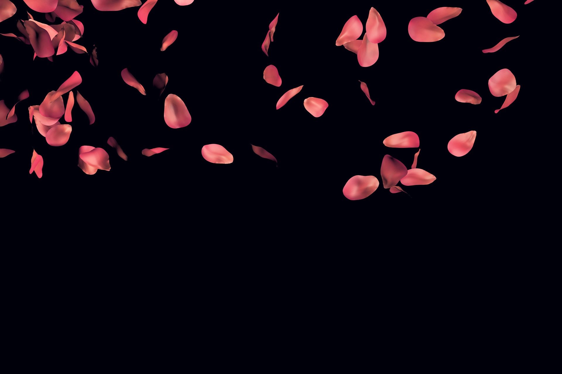 Falling Rose Petals Wallpaper - Rose Petals - HD Wallpaper 