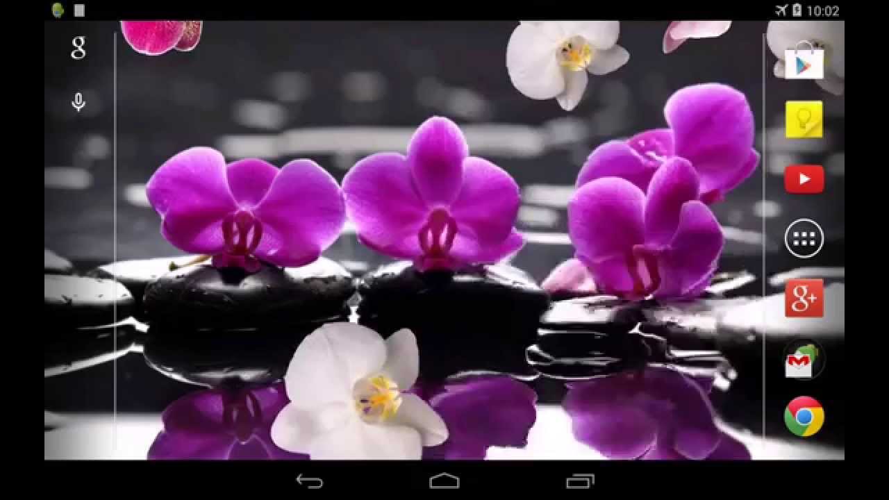Rocks Flowers And Water - HD Wallpaper 