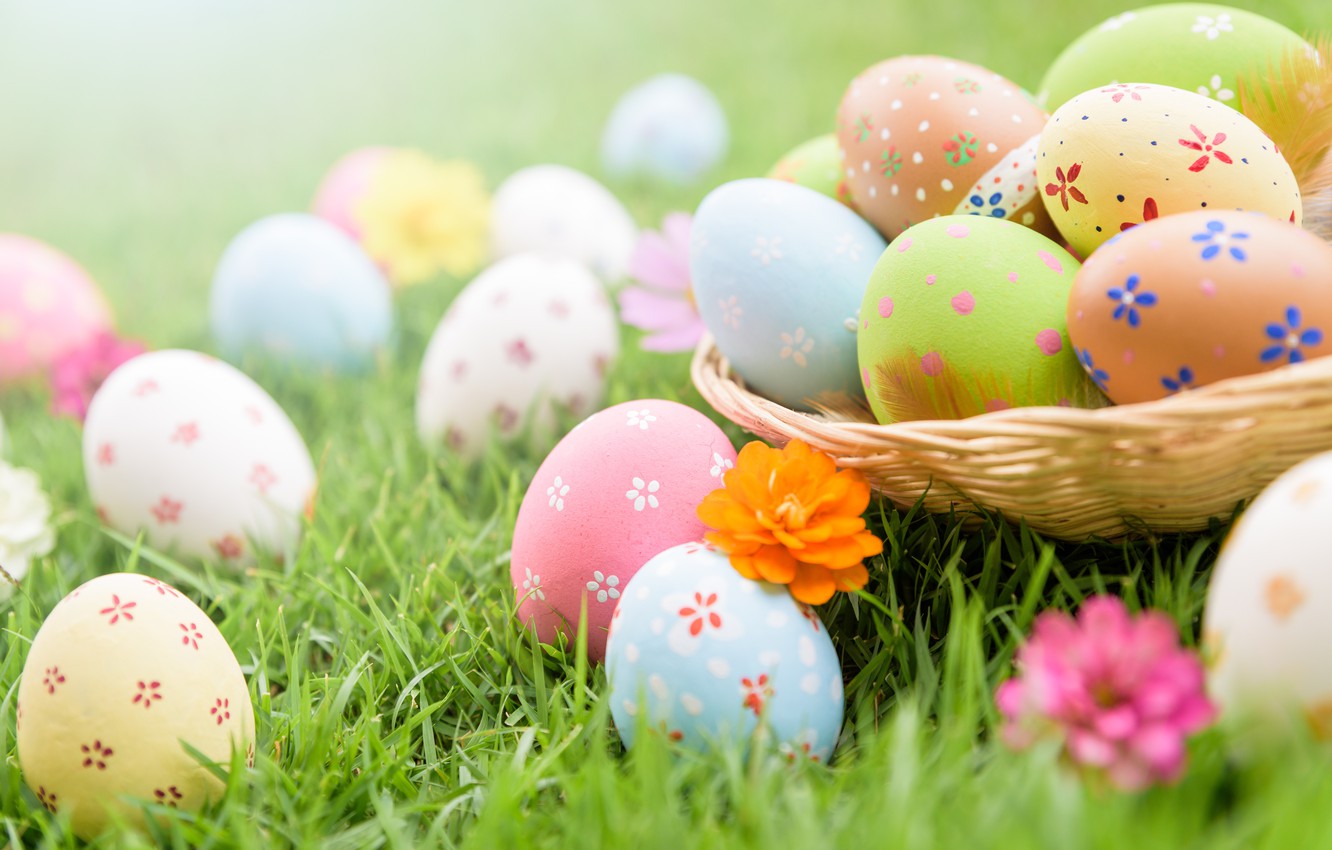 Photo Wallpaper Grass, Flowers, Eggs, Easter, Spring, - Открытки С Пасхой Поздравления - HD Wallpaper 