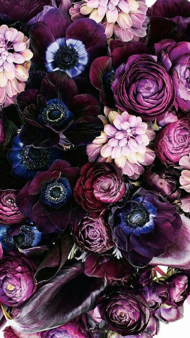 Purple Flower Backgrounds - HD Wallpaper 