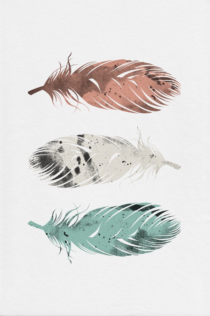 Feathers - HD Wallpaper 