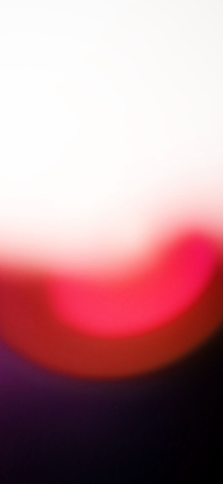 Macro Photography - HD Wallpaper 