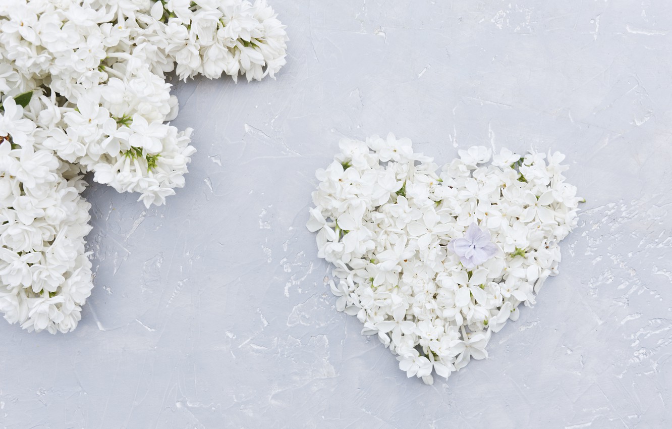 Photo Wallpaper Flowers, Heart, White, Love, White, - Bouquet - HD Wallpaper 