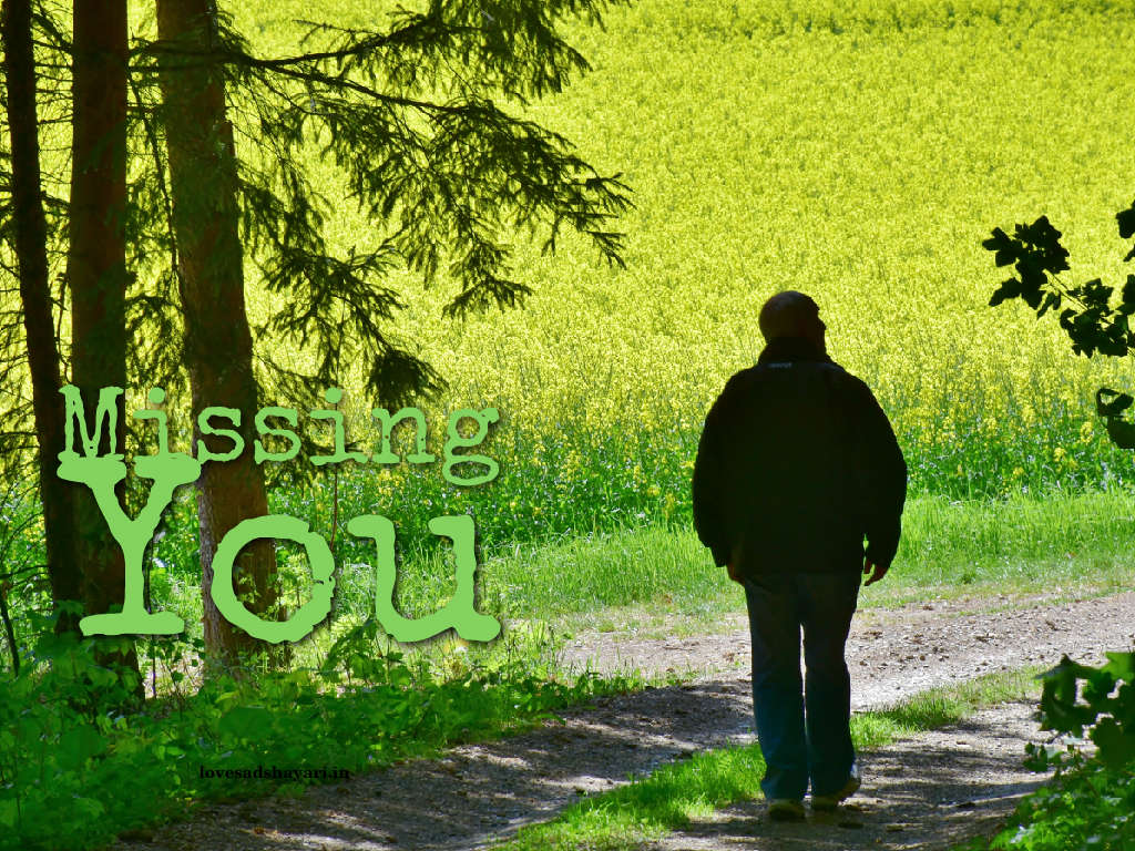 Hd Download - HD Wallpaper 