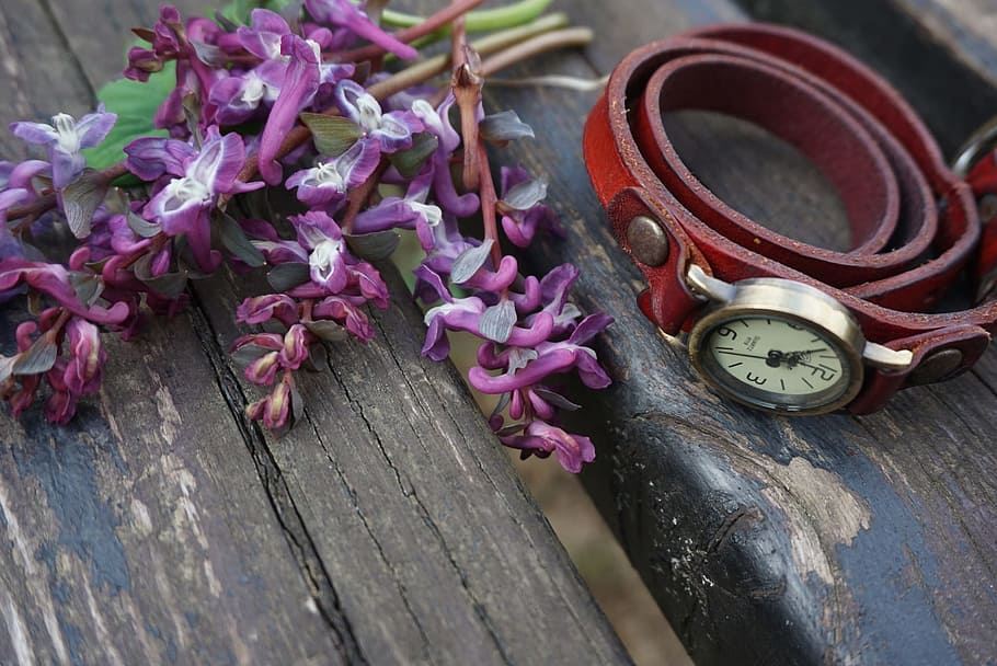 Vintage, Collection, Watch, Clock, Time, Object, Flower, - วิน เท จ สี ม่วง - HD Wallpaper 