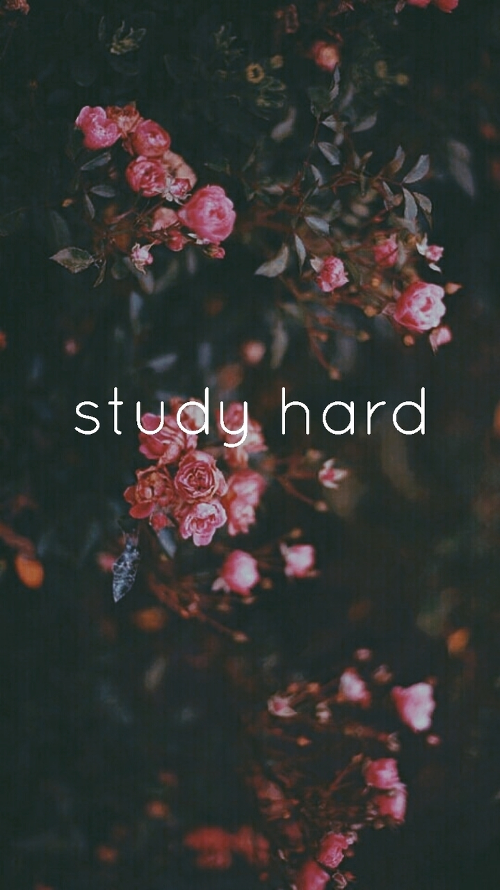 College, Study, And Study Hard Image - Study Hard - HD Wallpaper 