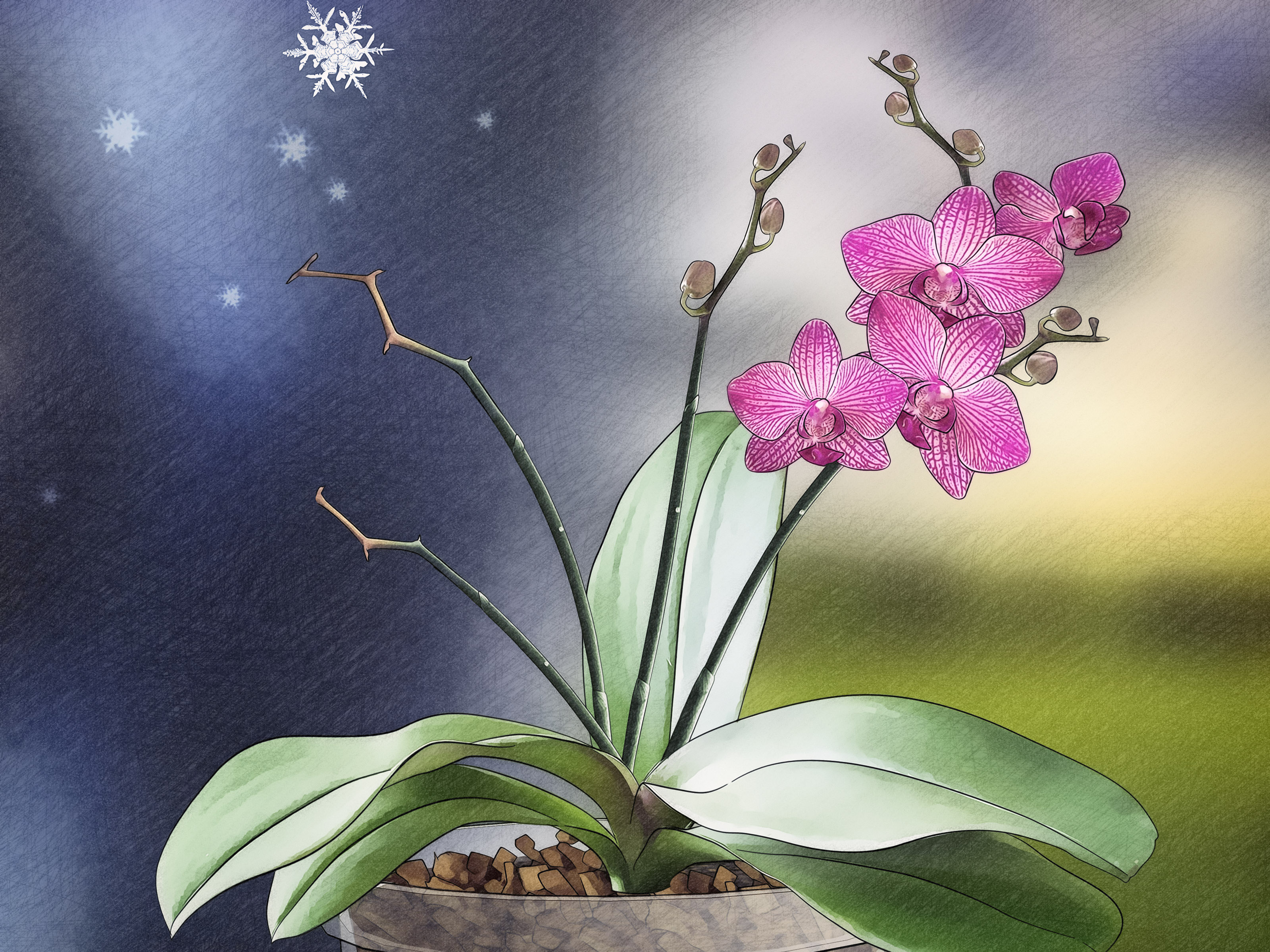 Image Titled Grow Orchids In A Greenhouse Step - Orchids - HD Wallpaper 