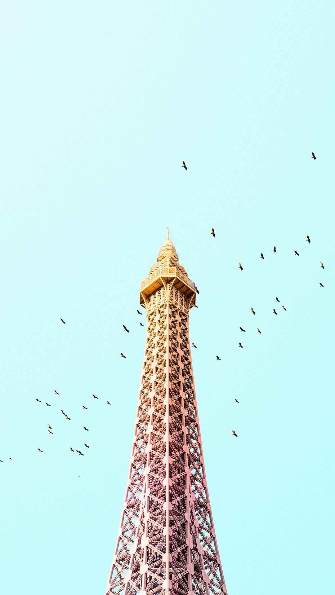 Paris Eiffel Tower Birds Colorful Iphone 6 Plus Hd - Samsung Galaxy On8 Phone Cover - HD Wallpaper 