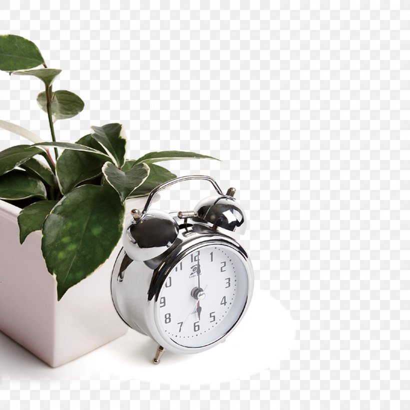 Breakfast Morning High-definition Television Wallpaper, - Gud Morning With Name - HD Wallpaper 