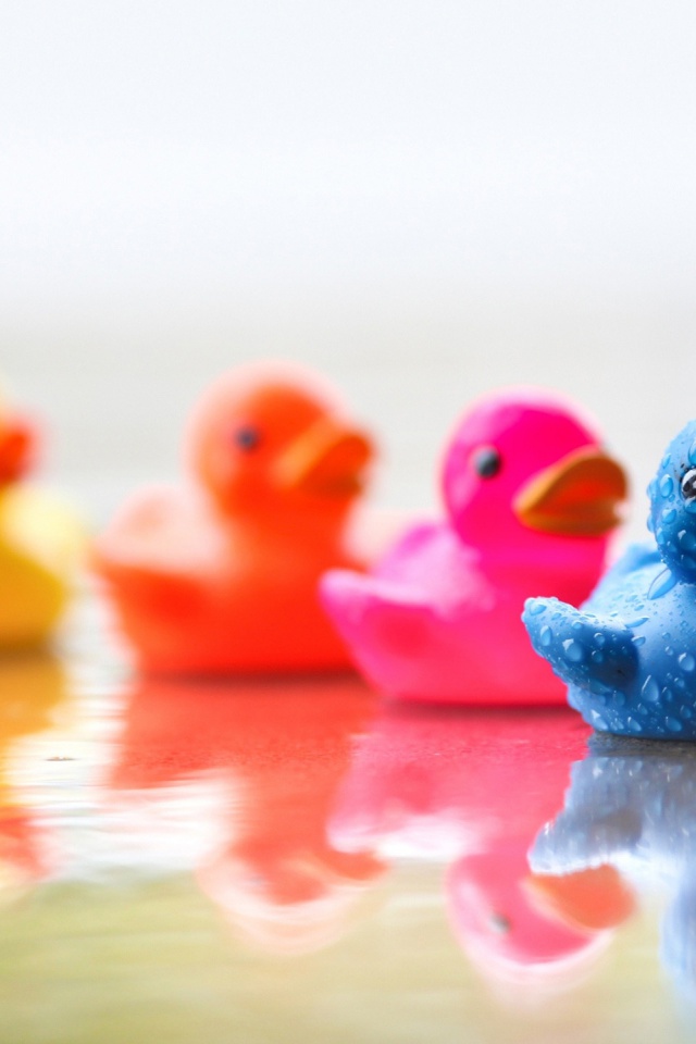 Cute Colourful - HD Wallpaper 