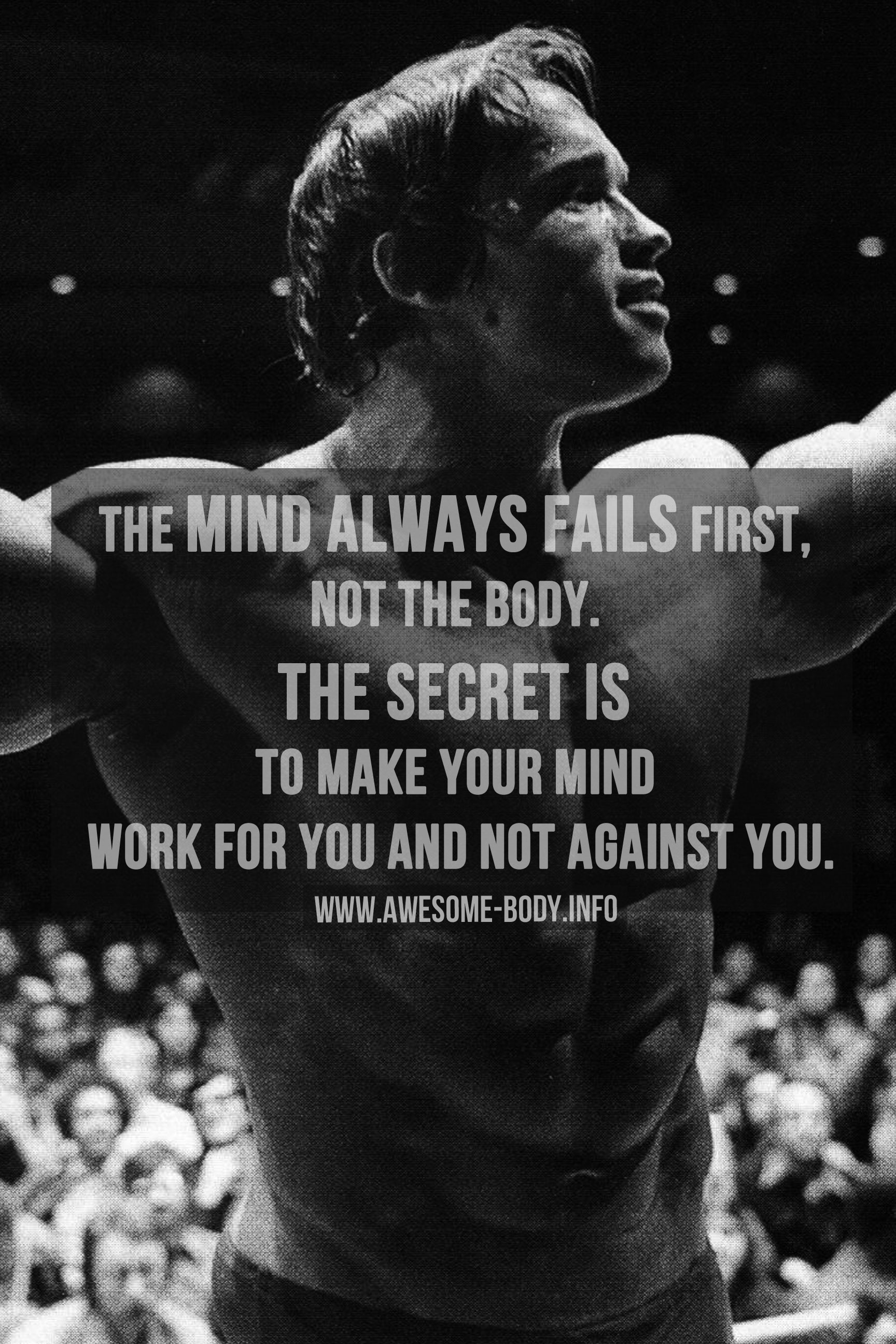 Bodybuilding Motivational Posters Gym Posters Awesome - Iphone Arnold Schwarzenegger Conquer - HD Wallpaper 