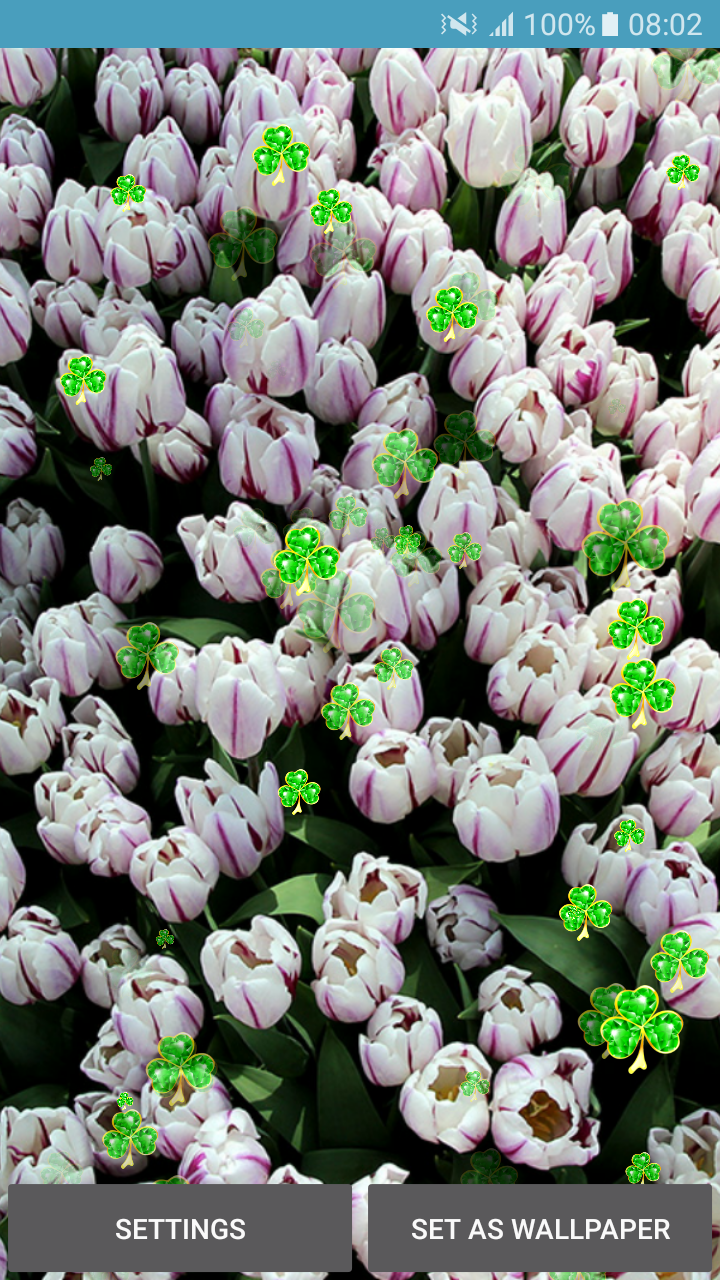 Live Wallpapers - Flowers - Flower Background Top View - HD Wallpaper 