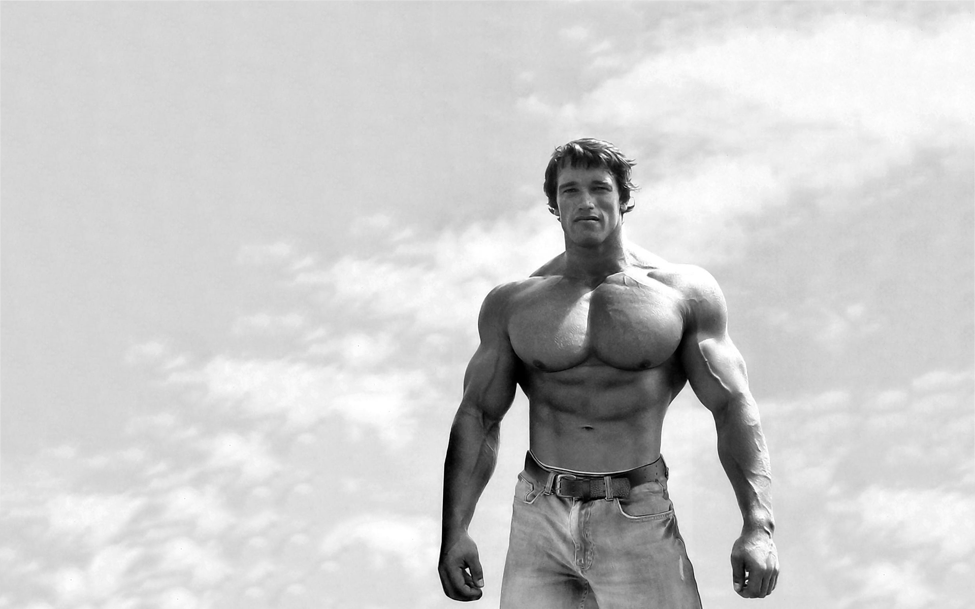 Bodybuilding Motivation Wallpaper Wallpaper Free Download - Arnold Schwarzenegger Wallpaper Pc - HD Wallpaper 