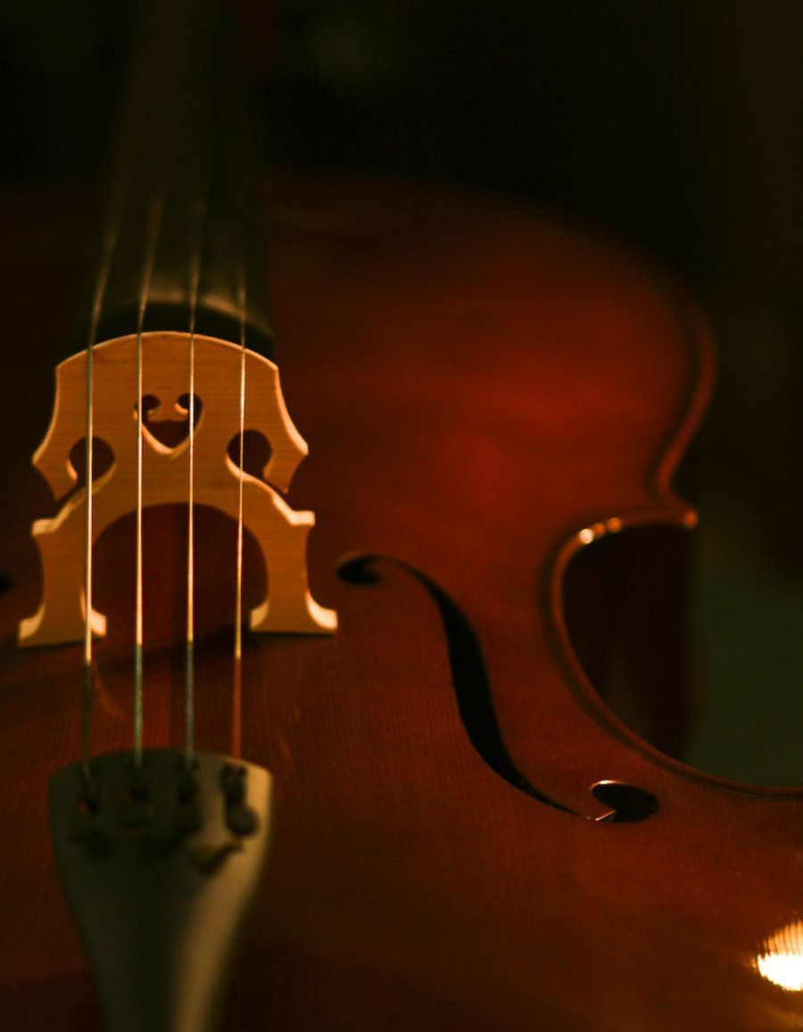 High Resolution Cello - HD Wallpaper 