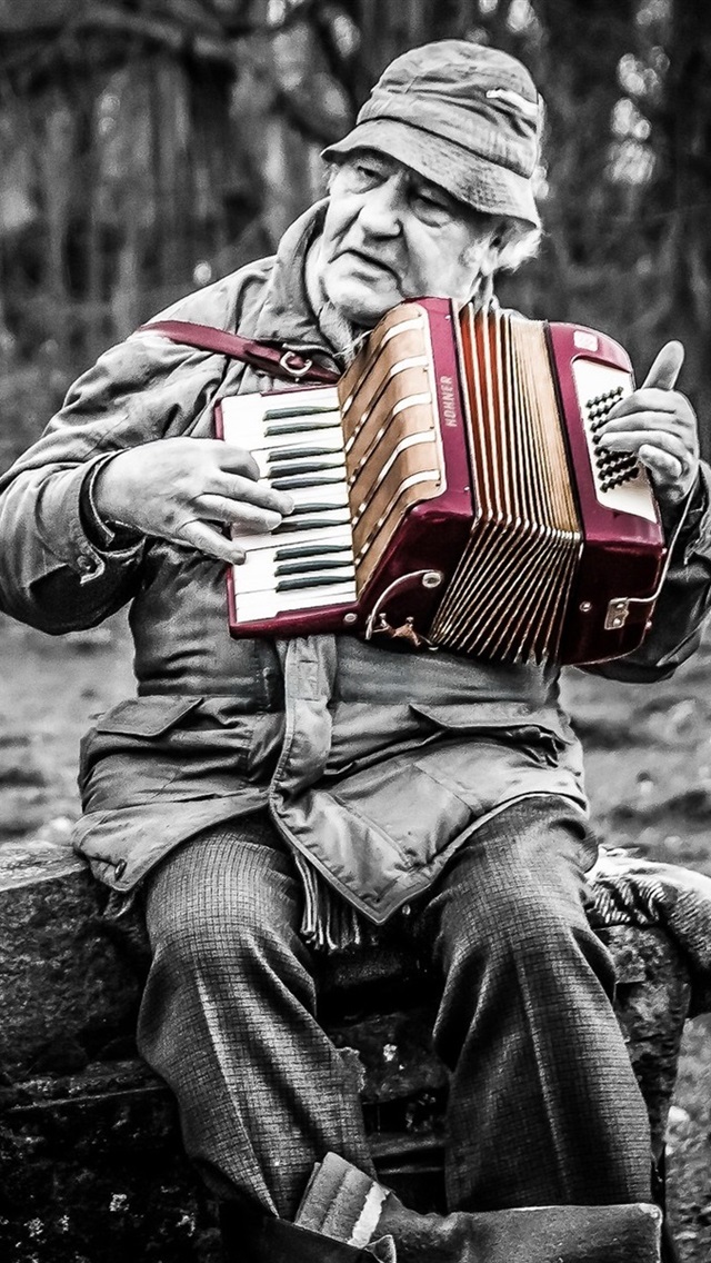 Acordeon Fondos De Pantalla - HD Wallpaper 