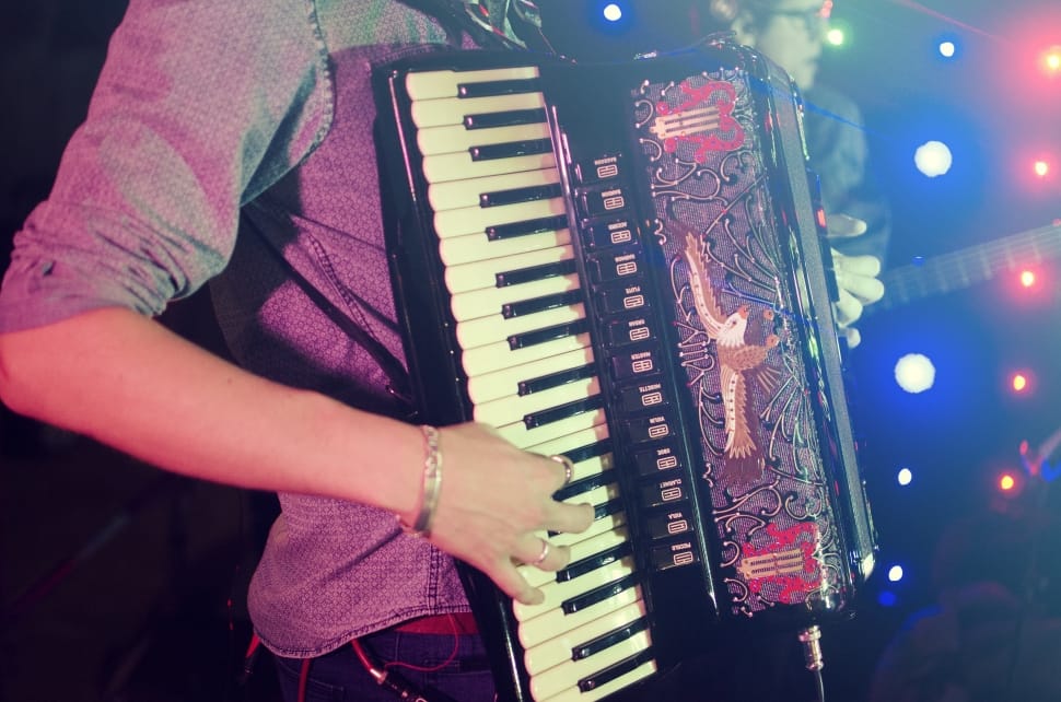 Black And Brown Accordion Preview - Acordeon Wallpaper 4k - HD Wallpaper 