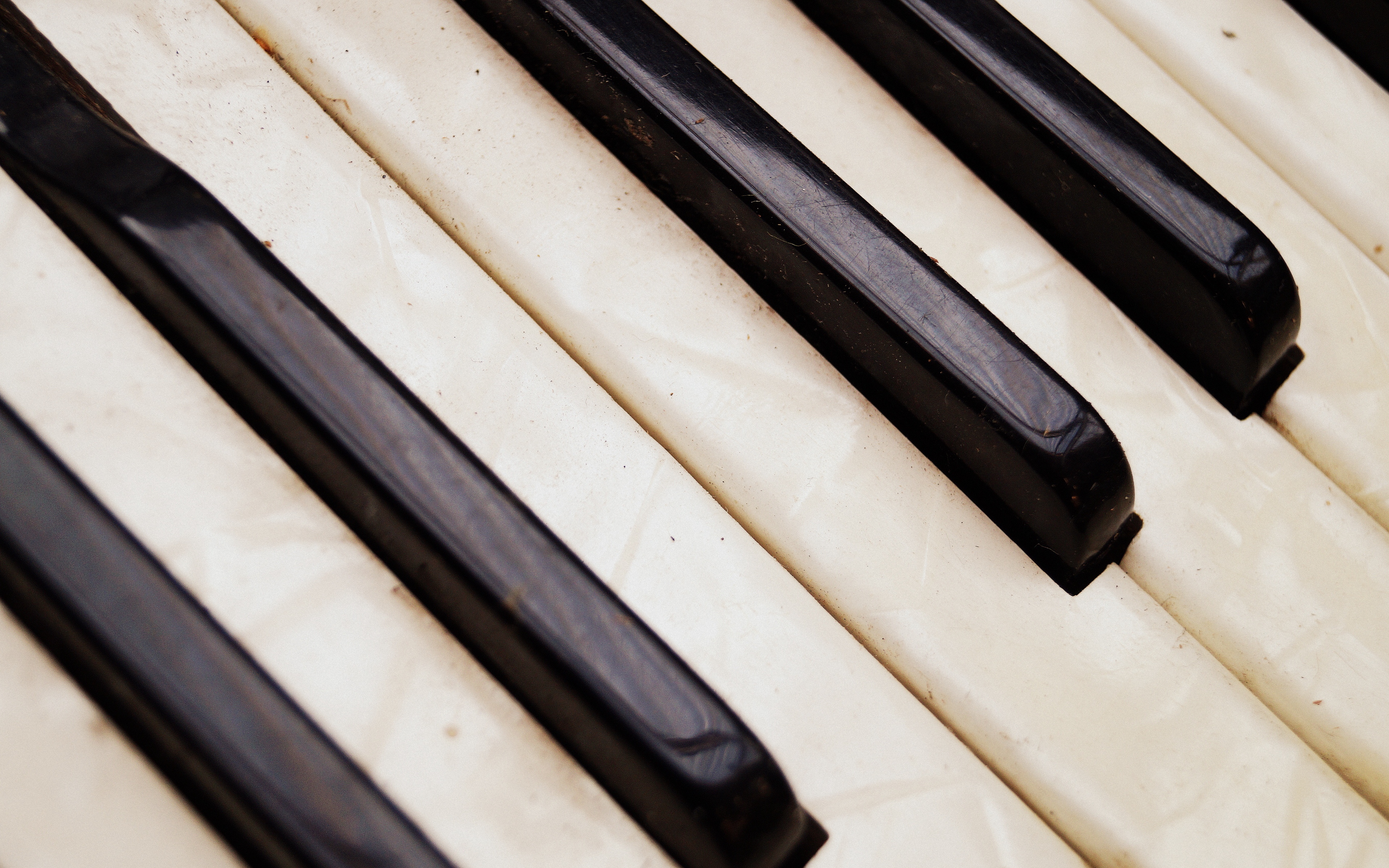 Wallpaper Accordion, Musical Instrument, Key, Texture - Music Instrument Wallpaper Texture - HD Wallpaper 