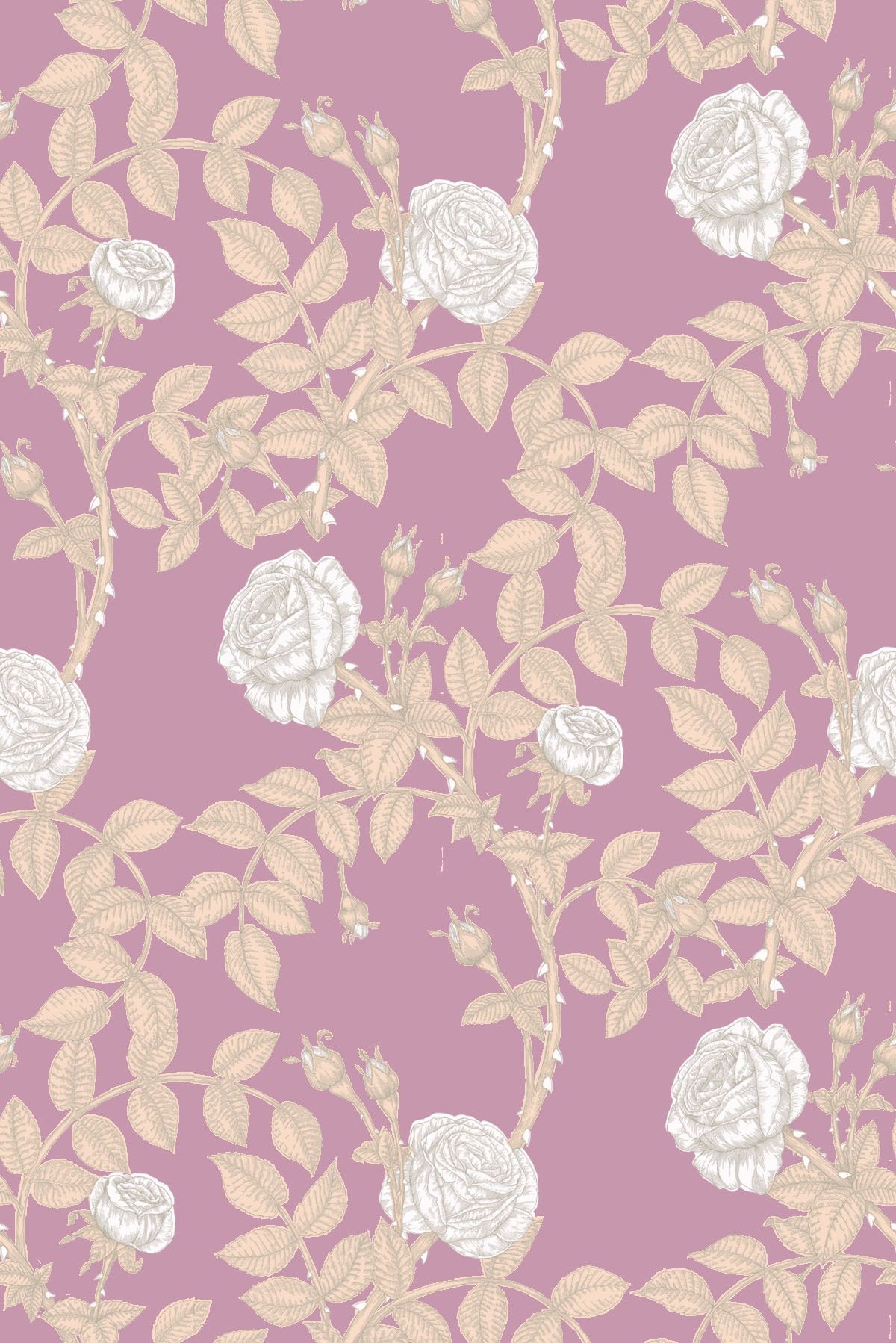 Timorous Beasties Rose - HD Wallpaper 