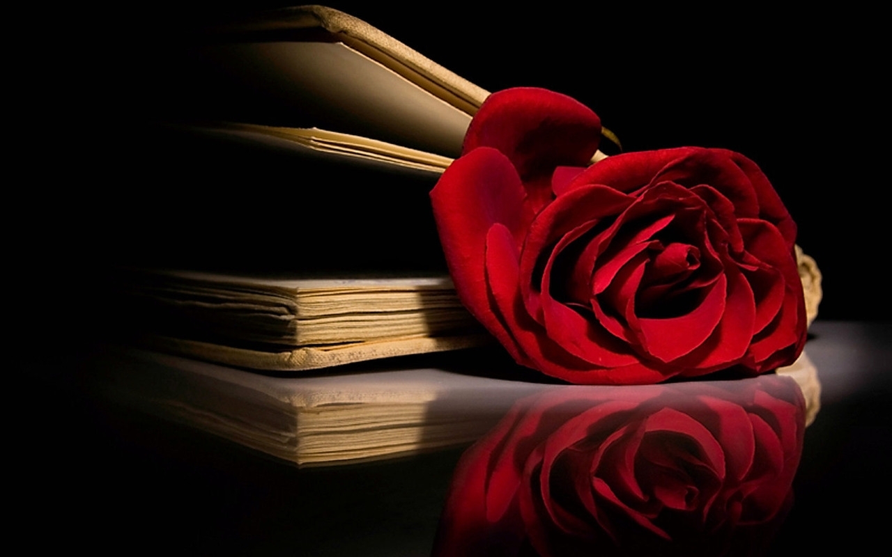 Beautiful Red Rose Wallpaper - Rose And Book Wallpaper Hd - HD Wallpaper 