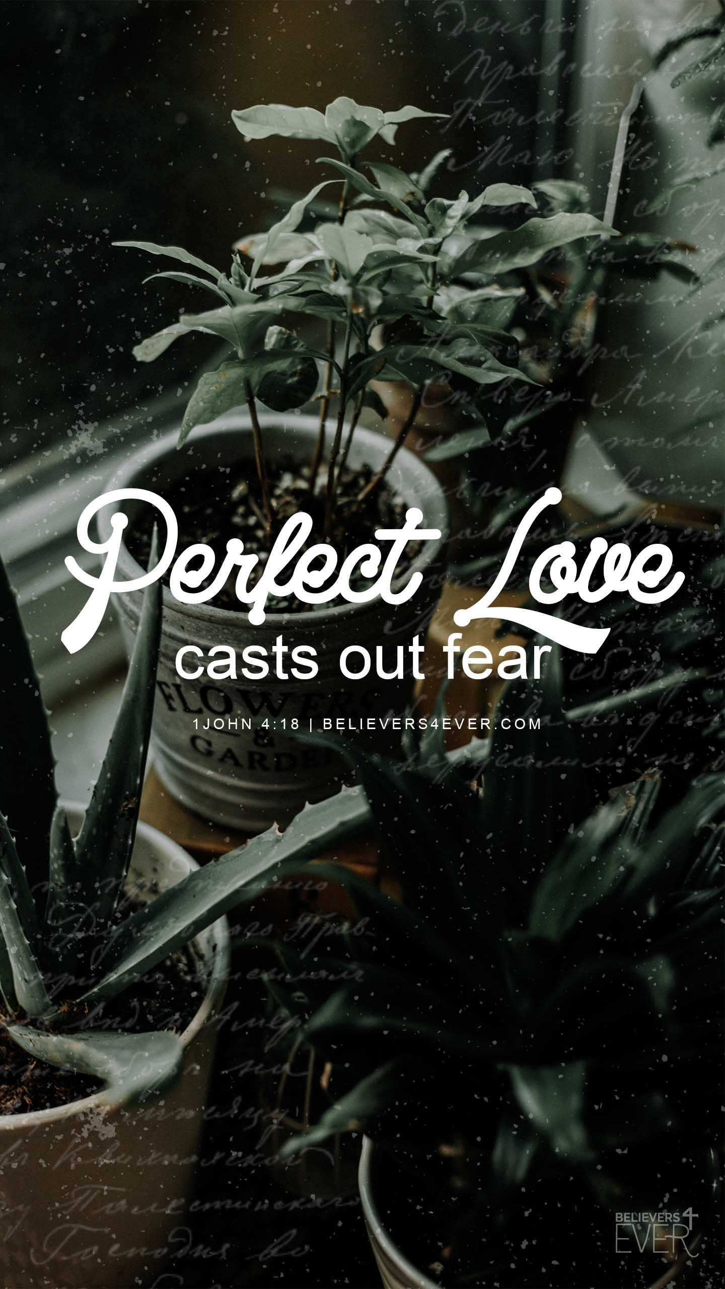 Perfect Love - Perfect Love Casts Out Fear Iphone - HD Wallpaper 