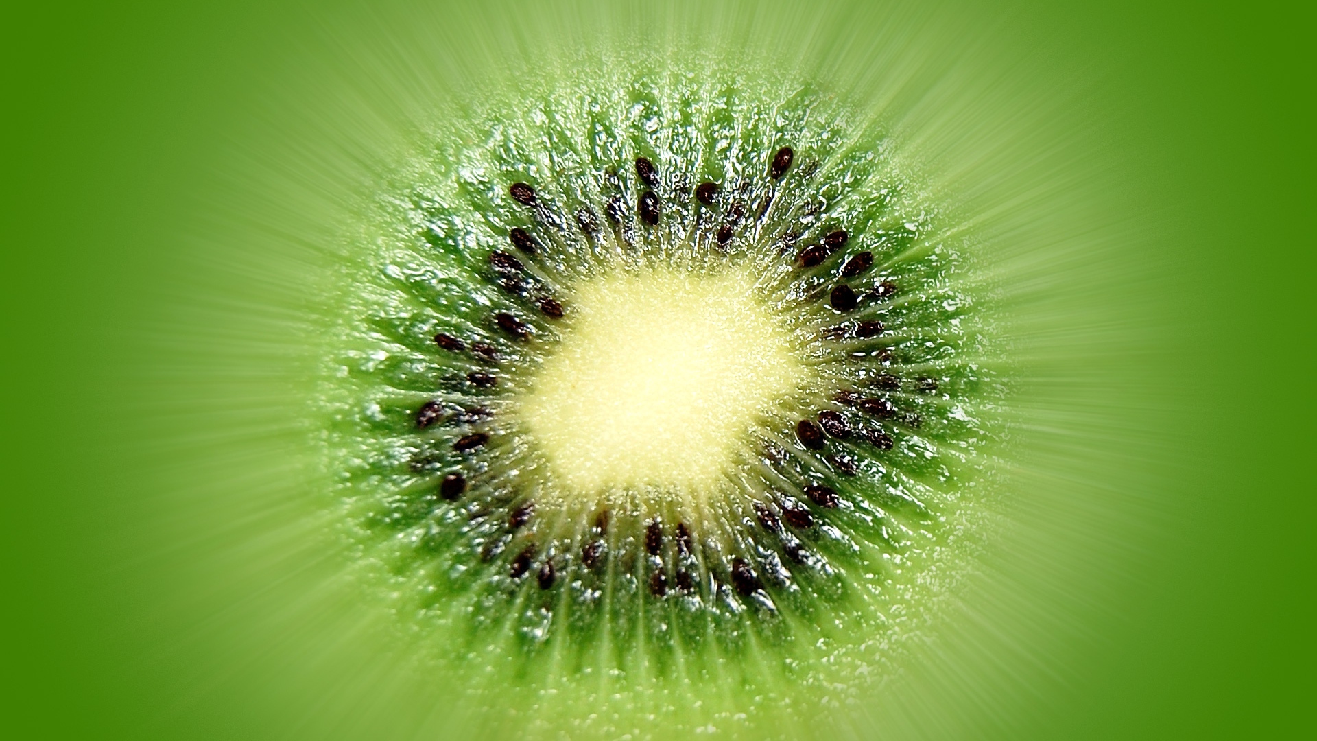 Kiwi Fruit Close Up Hd Wallpaper - Kiwifruit - HD Wallpaper 