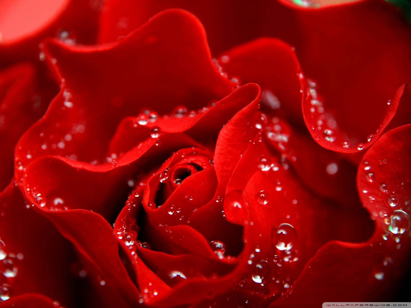 Love New Wallpaper Full Hd - HD Wallpaper 