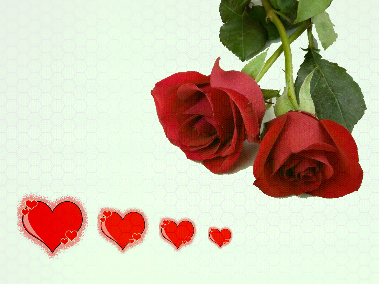 Beautiful Red Rose Images Free Download - HD Wallpaper 
