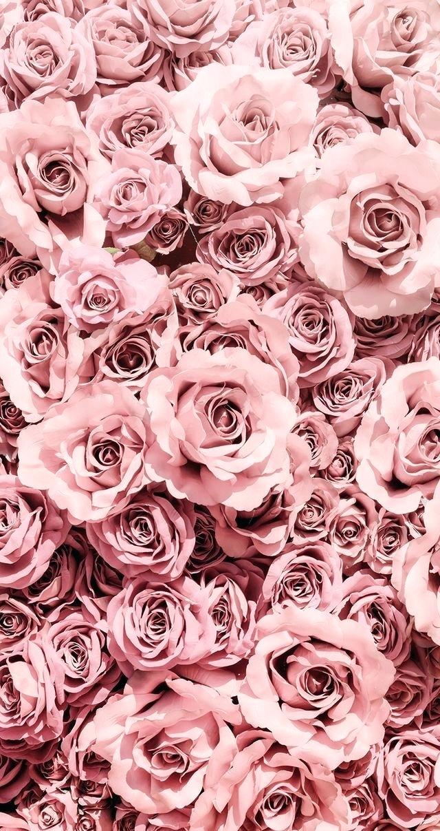 Flowers Roses Wallpaper Wallpaper Phone Android Simple - Rose Gold Pink Aesthetic - HD Wallpaper 