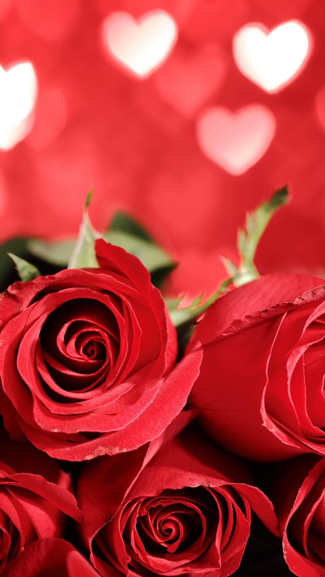 Iphone Wallpaper Beautiful Red Roses, Love Heart Background - عکس تصویر زمینه گل - HD Wallpaper 