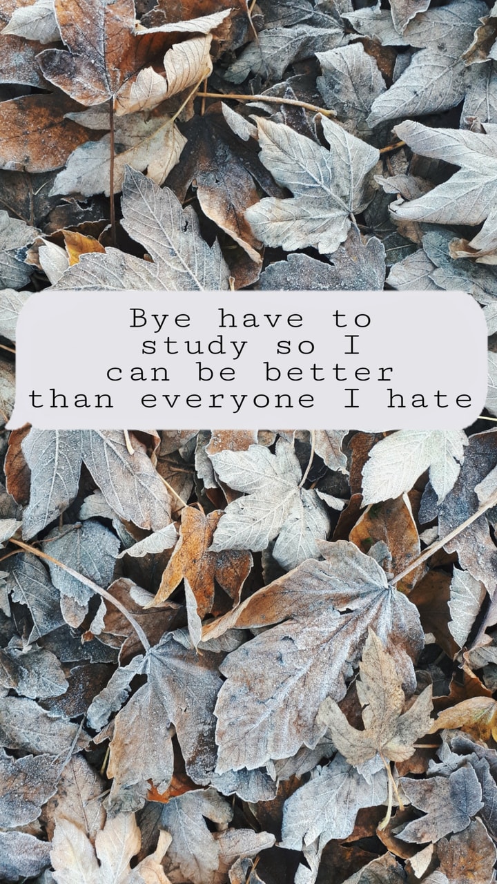 Better, Dream, And Hate Image - Silver Maple - HD Wallpaper 