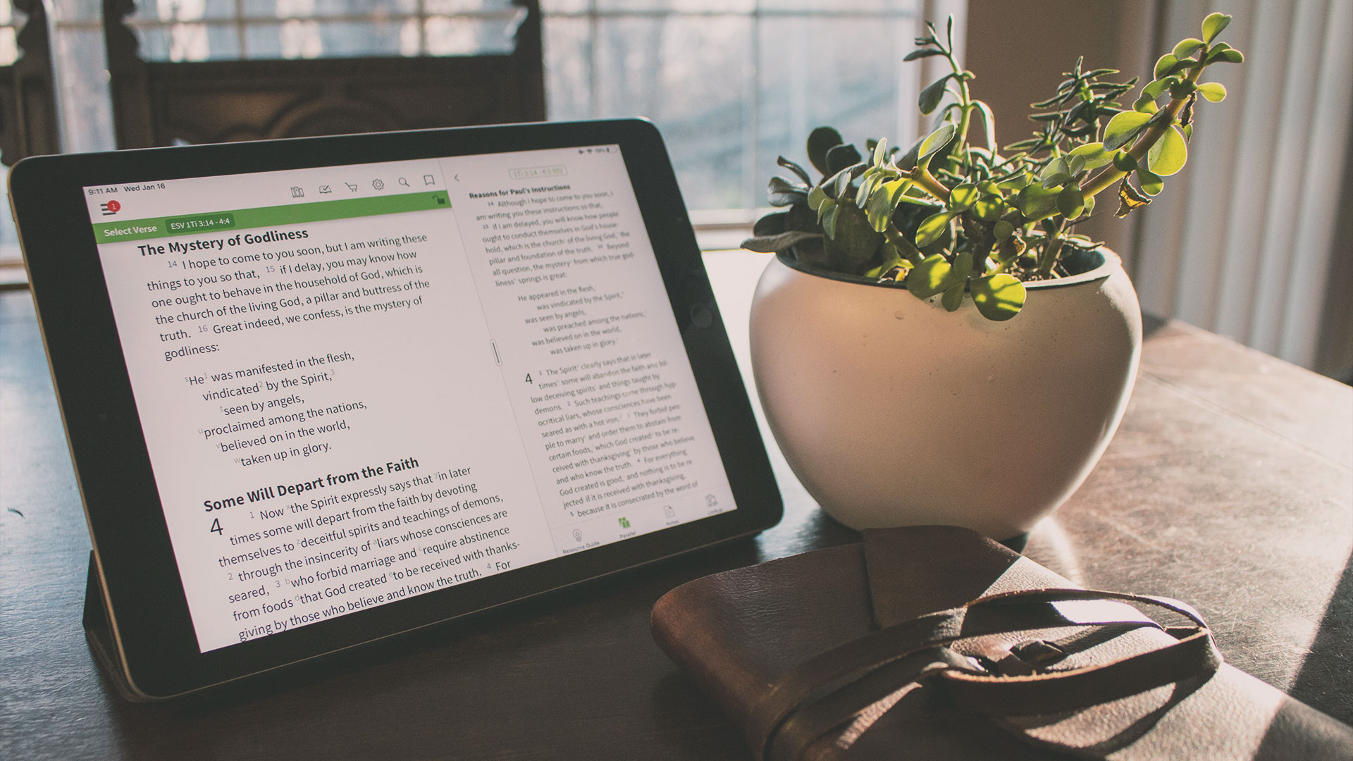 Flowerpot - HD Wallpaper 