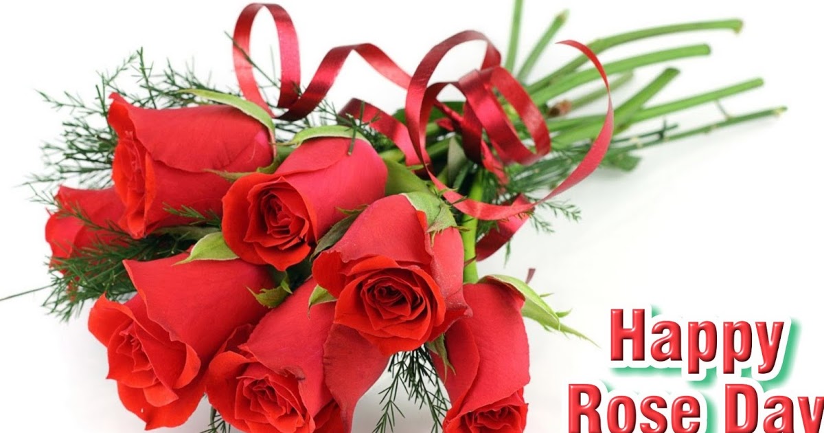 Rose Day Images - Happy Rose Day 2019 Images Download - HD Wallpaper 